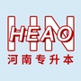 河南专升本网ico