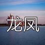 龙凤看看ico