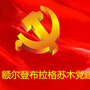 额尔登布拉格苏木党建ico