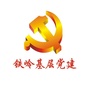 铁岭基层党建ico