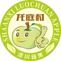 龙庭村公众号ico