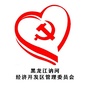 讷河经济开发区管委会ico