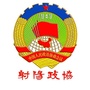射阳政协ico