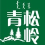 青松岭森林康养ico