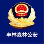 丰林森林公安ico