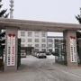 杨树党建ico