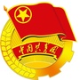 临海电大团委ico