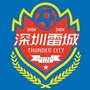 深圳雷城公众号ico