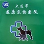 大连市益康宠物医院ico