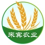 来宾农业ico