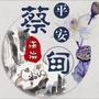 蔡甸政法ico