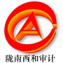 陇南西和审计ico