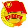 颍东区新乌江镇团委ico
