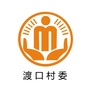 普顺渡口阳光村务ico