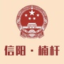 美丽楠杆ico