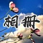 福气安康相册ico