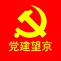 党建望京ico