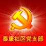 西街泰康社区党支部ico
