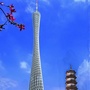 幸福赤岗ico