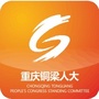 重庆铜梁人大ico