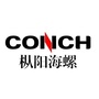 枞阳海螺公众号ico