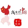 大同小成文化ico