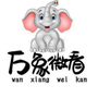 万象微看ico