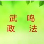 武鸣政法在线ico