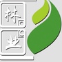 魅力青阳 生态林业ico