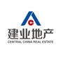淮阳建业ico