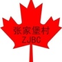 本溪县张家卜村ico