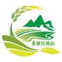 永泰农博会ico