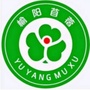 榆阳牧草官方平台ico