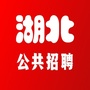湖北公共招聘信息公众号ico