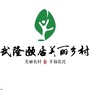 武隆颐居美丽乡村ico
