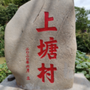 亮丽上塘ico