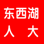 东西湖人大ico