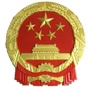 平桥人大ico