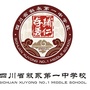 叙永一中ico