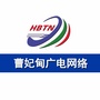 曹妃甸广电网络公司ico