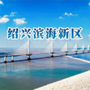 潮起滨海ico