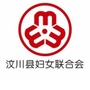 汶川县妇女联合会ico