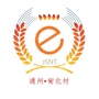 平潮镇甸北村ico