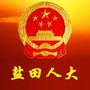 盐田人大ico