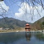 魅力泮水ico