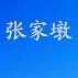 将军路街张家墩社区ico