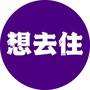 想去住ico