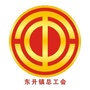 东升镇总工会ico