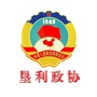 垦利区政协ico