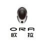临沂九州欧拉专营店公众号ico
